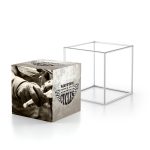 CHARISMA SEG 3D CUBE