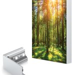 CHARISMA SEG LIGHT BOXES